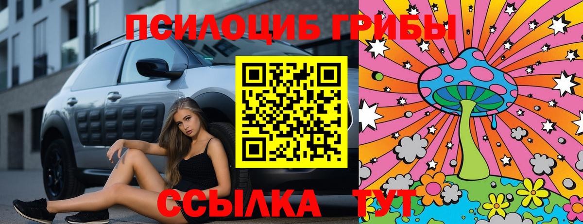 Сургут  Псилоцибиновые грибы Cubensis  Вход с VPN 