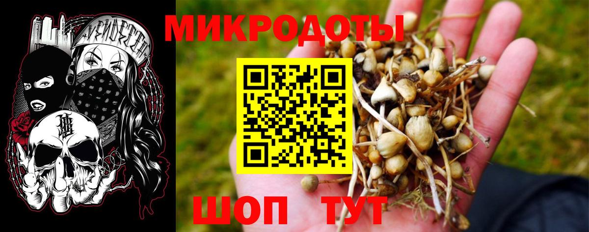 Псилоцибиновые грибы Cubensis Сургут